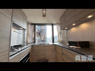 Shau Kei Wan - Island Garden 07