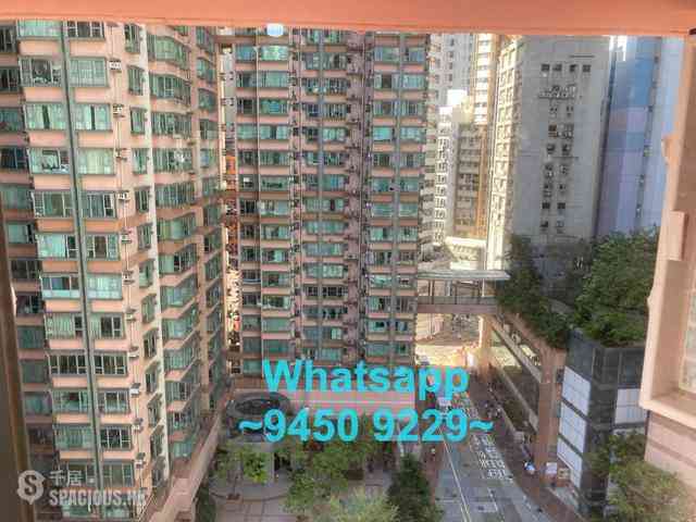 Sheung Wan - Lai Yan Lau 11