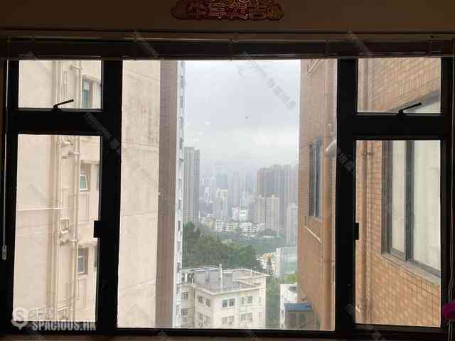 Tai Hang - Tai Hang Terrace 09