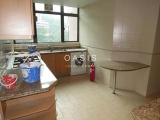 Mid Levels Central - Fairlane Tower 04