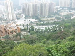 大圍 - 御林峰3座 04
