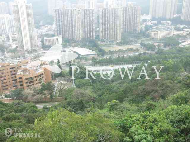 大圍 - 御林峰3座 04