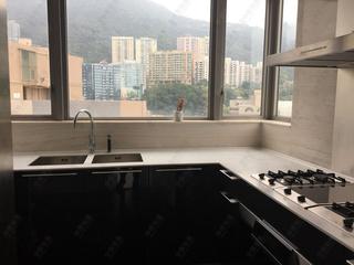 Sai Ying Pun - The Summa Block 1 13