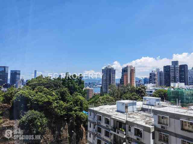 Tai Hang - Swiss Towers 01