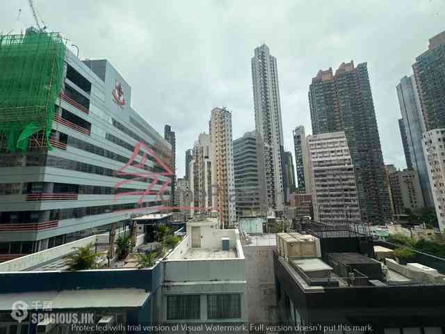Sheung Wan - Hollywood Hill 08