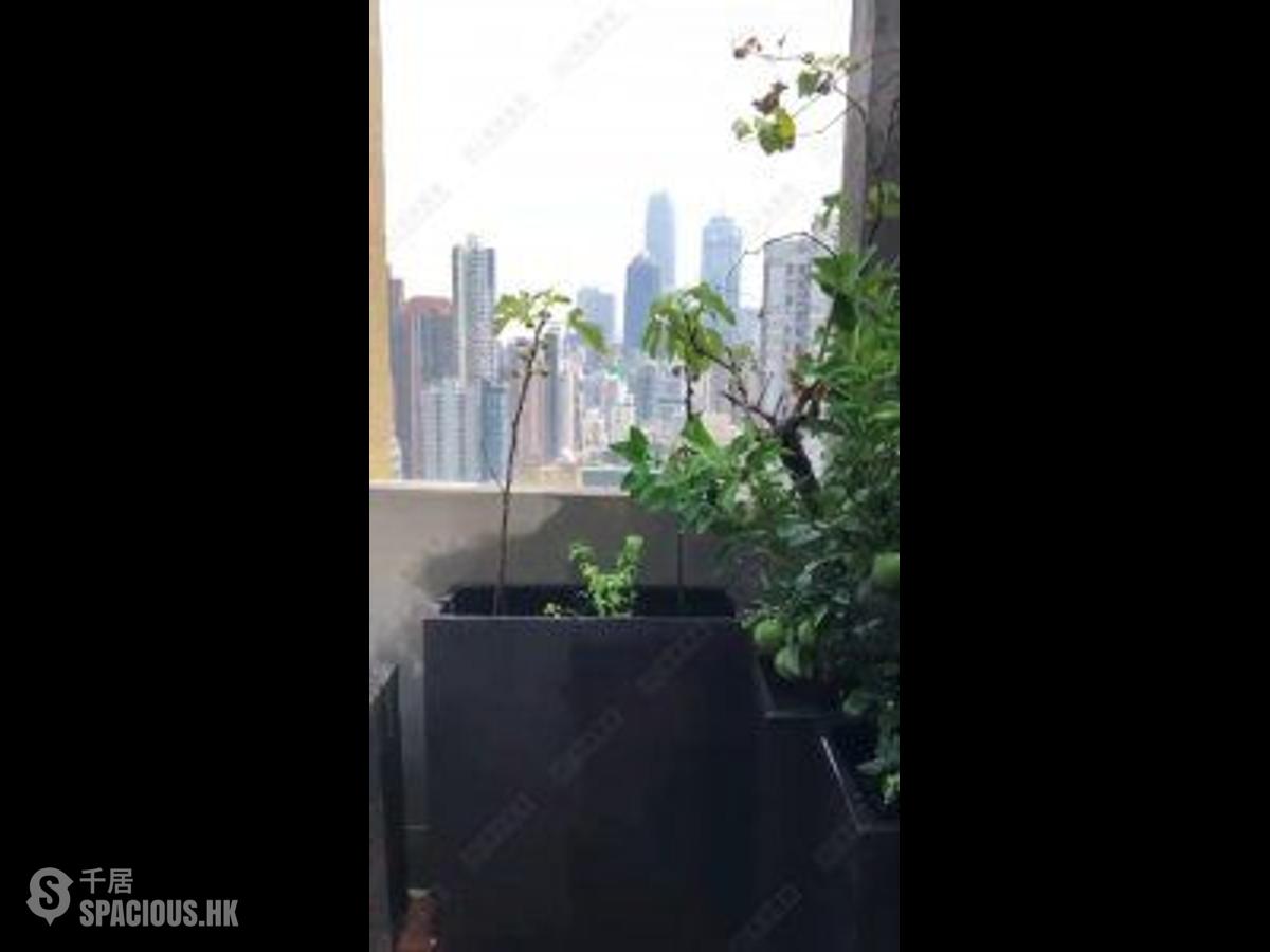 西营盘 - 康和花园 01