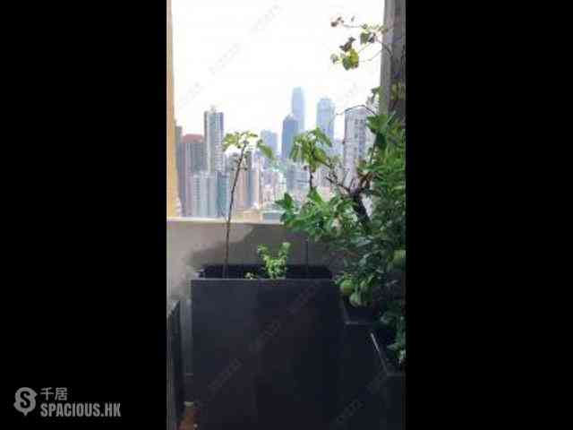 Sai Ying Pun - Goodwill Garden 01
