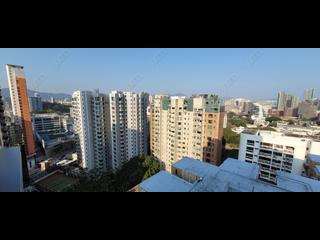 佐敦 - 本木 14
