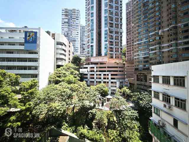 Wan Chai - 1, Star Street 11
