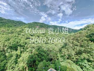 Tai Hang - Ronsdale Garden 02
