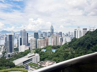 東半山 - 峰景花园 02