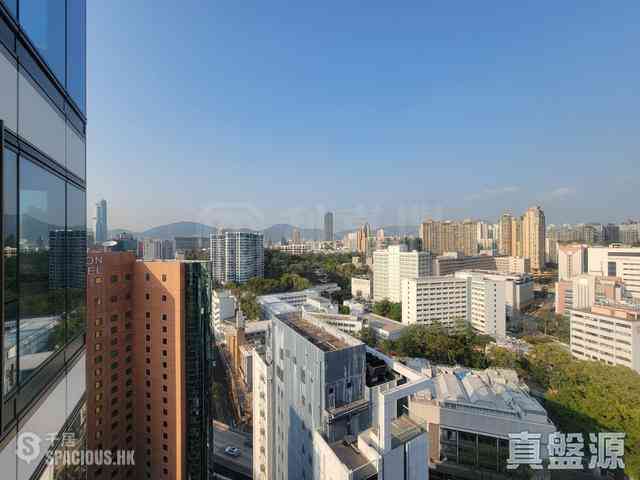 佐敦 - 高临 02