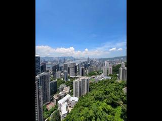 Mid Levels Central - The Harbourview 02