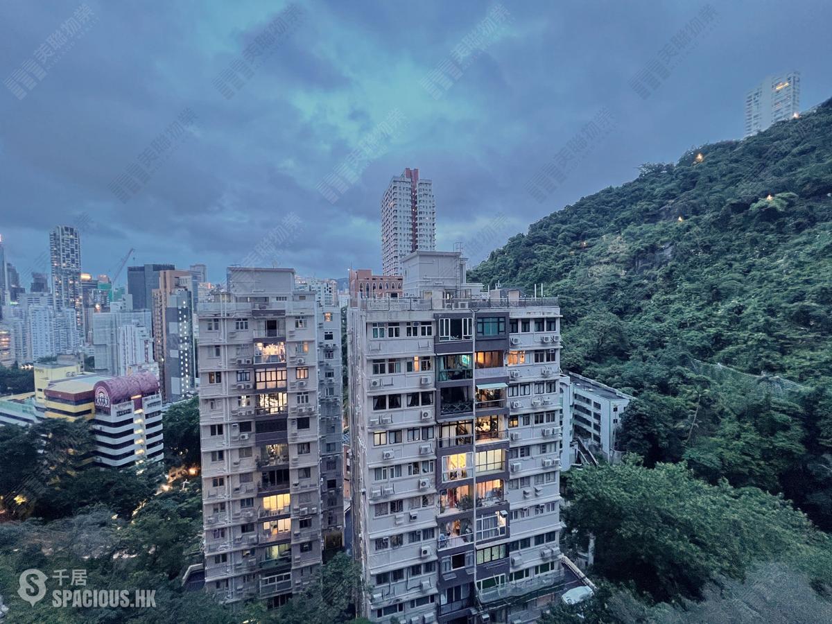 Mid Levels East - Bamboo Grove 01