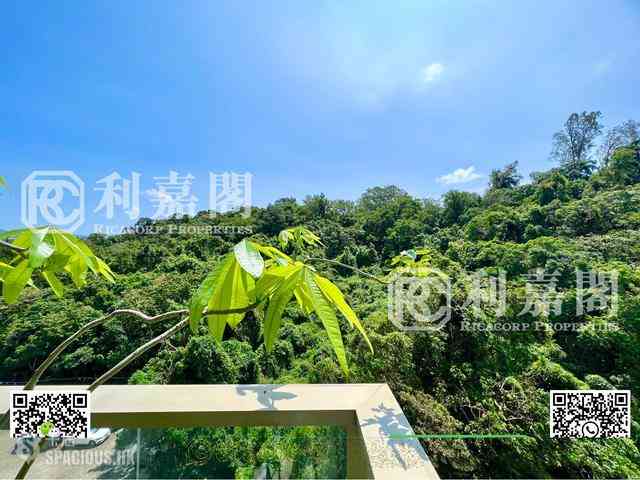 西贡 - 逸珑海汇 10