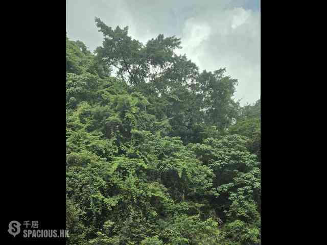 司徒拔道 - 肇輝臺8號 02