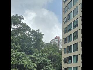 司徒拔道 - 肇辉台8号 03
