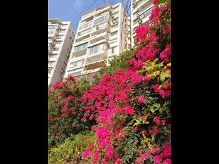 Mid Levels Central - Robinson Garden Apartments Block 3D-3E, Robinson Road 03