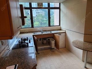 Mid Levels Central - Fairlane Tower 09