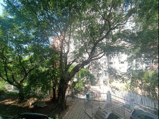 中半山 - 锦园大厦 10