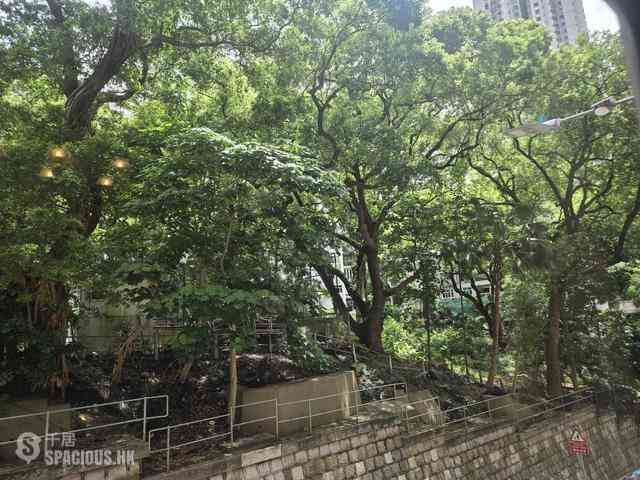 西半山 - 柏道8-10号 03