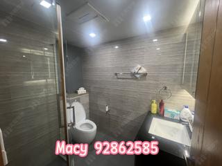 Mid Levels Central - Tregunter Tower 3 08