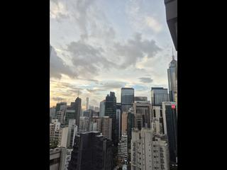 湾仔 - 禧汇2期 11