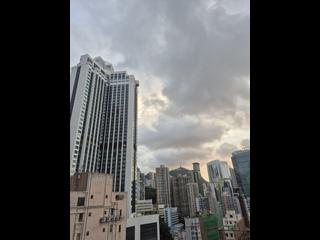 湾仔 - 禧汇2期 12