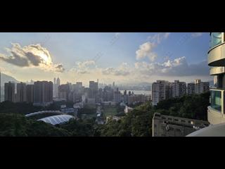 大坑 - 峻譽・渣甸山 12