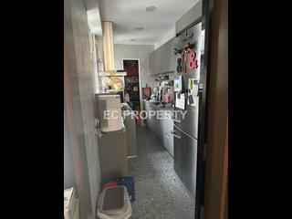 Tai Hang - Yukon Heights 04
