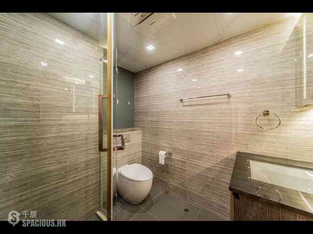 Mid Levels Central - Tregunter Tower 3 19