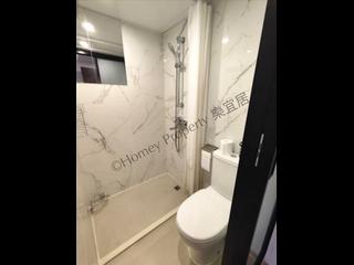Sai Ying Pun - Siu On Building 05