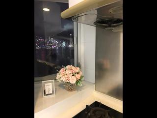 North Point - City Garden 10