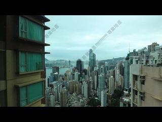 西半山 - 柏道2號 11