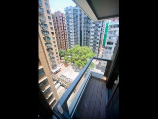 Jordan - Arbour 07