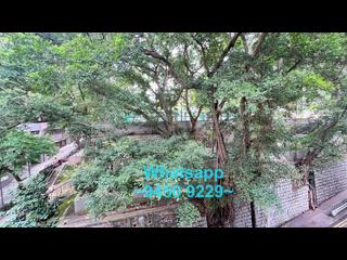 Sai Ying Pun - 31, Eastern Street 05