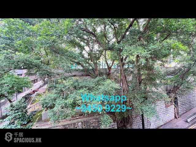 Sai Ying Pun - 31, Eastern Street 05