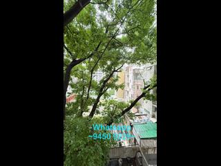 Sai Ying Pun - 31, Eastern Street 07