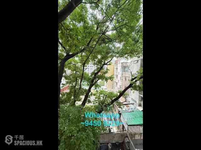 Sai Ying Pun - 31, Eastern Street 07