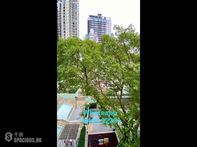 蘇豪 - 中興閣 04