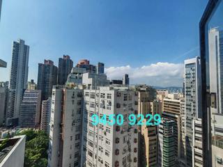 上环 - 丽雅苑 20