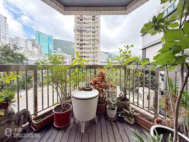 Happy Valley - Ventris Place 14