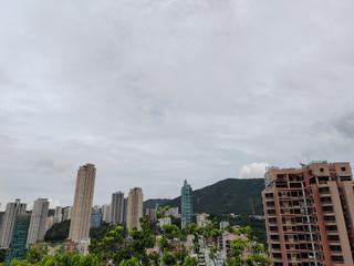 司徒拔道 - 德信花园 02