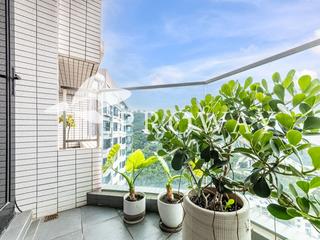 浅水湾 - 华景园2座 03