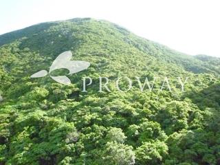 鴨脷洲 - 南湾 02