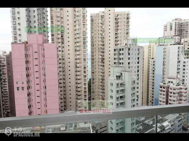 坚尼地城 - Lexington Hill 04