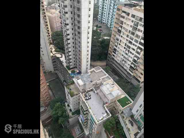 中半山 - 罗便臣道31号 13
