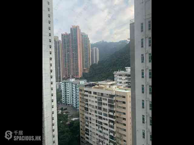 中半山 - 罗便臣道31号 14