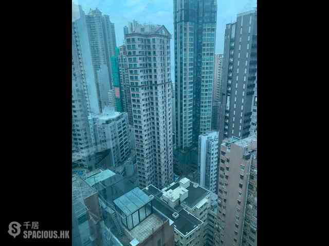 中半山 - 罗便臣道31号 18