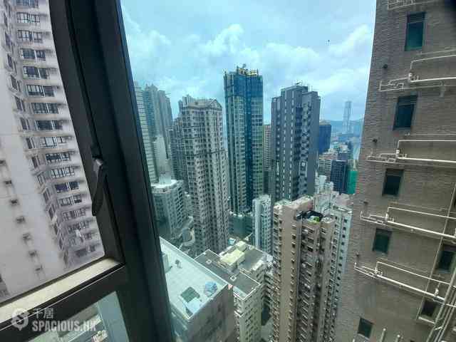 中半山 - 罗便臣道31号 20